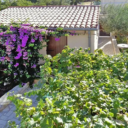 Holiday home Pifar Cis02162 Cya Medulin